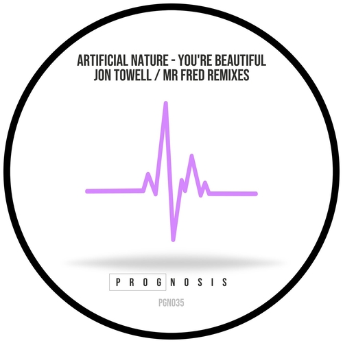 Artificial Nature - You're Beautiful [PGN035]